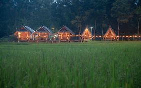 Paddy Fields Haven - Natures Nest, Mountain View In Pai